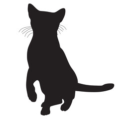 vector cat silhouette