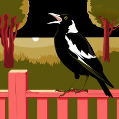 Vector drawing of an Australian Magpie with open beak perched on a sunny backyard fence.