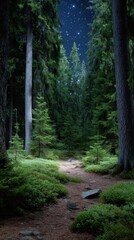 Enchanting Forest Trail Under a Starry Night Sky Serene Woodland Scene Greenery and Tranquility Majestic Trees and Mystical Atmosphere