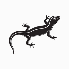 green anole lizard vector