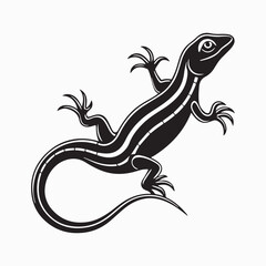 Fototapeta premium green anole lizard vector