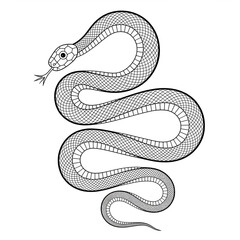 Obraz premium ‎A black and white Snake illustration line art of a coloring page