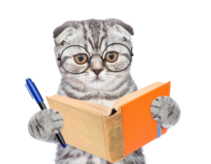 A Scottish Fold cat wearing glasses holds a book and a pen, appearing to read and study intently.