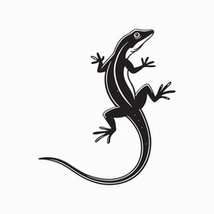 Fototapeta premium green anole lizard vector