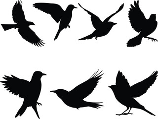 Flying Bird Silhouettes Collection, Black Vector Birds in Flight and Perch