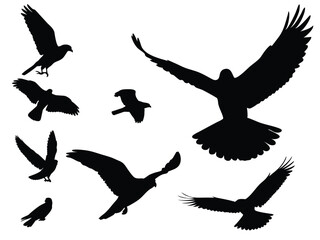 Vector of a flock of birds flying in silhouette