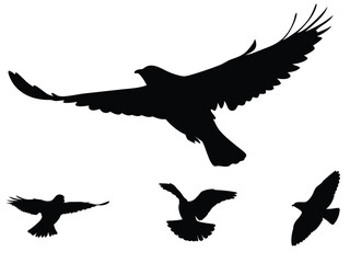 Silhouettes of wild birds in flight, vector in png