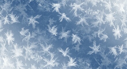 Intricate White Frost Patterns On A Blue Background