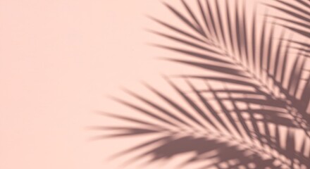 Fototapeta premium Palm Leaf Shadows on Pastel Backgrounds – Minimal Summer Aesthetic
