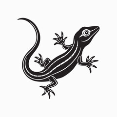 green anole lizard vector
