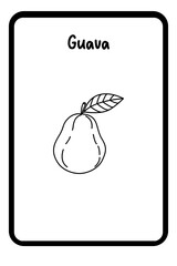 Coloring Fruit Flashcards 1 - Guava (3)