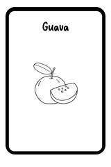 Coloring Fruit Flashcards 1 - Guava (5)