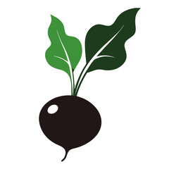 Radish Silhouette with Small Bulb and Trailing Roots