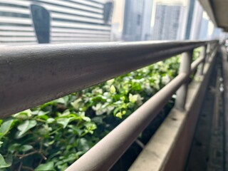 Close-Up View of Metal Railing with Lush Green Plants on a City Balcony Overlooking Urban Landscape