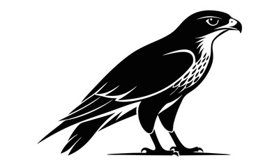 Download Line Art Cooper Hawk Animal Silhouette Vector Art Illustration Eps File For Design.