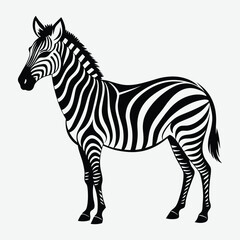 Zebra line art.
