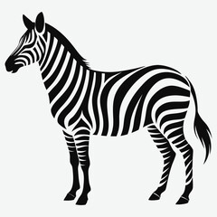 Obraz premium Zebra line art.