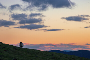 Beautiful sunset from Aloña mountain in the Basque Country