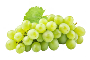 Grape, grapes, green, fruit, organic, juicy, food, white,