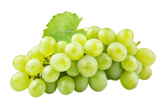 Grape, grapes, green, fruit, organic, juicy, food, white,