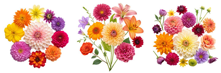 Set of colorful flowers on transparent background