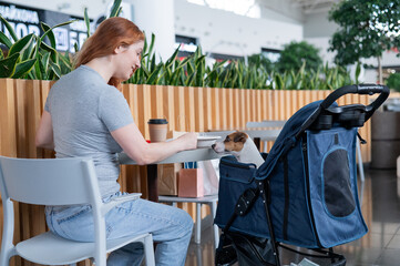 Caucasian woman having lunch in a cafe with her Jack Russell terrier dog in a stroller. 