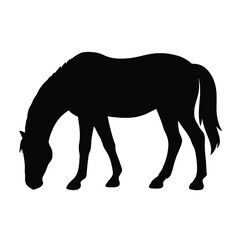 Grazing Horse Silhouette in Black. vector illustration 