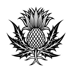 Download Scottish Thistle Vector Art In Celtic Style Vector Art Illustration Eps File For Design.