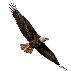 Fototapeta premium Majestic bald eagle soars in flight with spread wings against a clear sky in stunning aerial display on transparent background