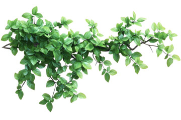 Fototapeta premium Greenery Foliage Frame, Lush Plant Brings Botanical Vibe & Tranquil Nature