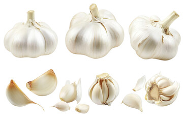 Fototapeta premium Fresh Garlic Cloves on Dark Background With Kitchen Ingredient Theme