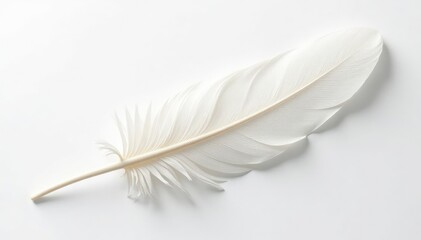 Obraz premium Delicate white feathers on pure white background, down, aesthetic, air