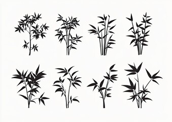 Fototapeta premium Silhouettes of Bamboo Plants