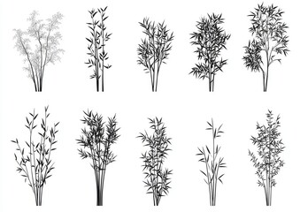 Obraz premium Bamboo silhouettes. Various black and white bamboo designs