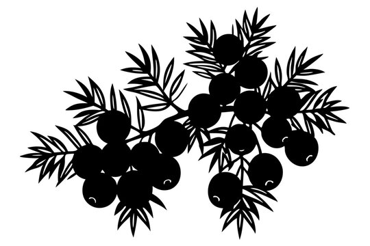 recommend clip art: black and white currant