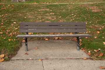 wood bench in autumn park