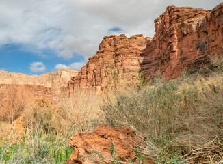Scenic View Opposite of Navajo Falls, Havasupai Indian Reservation, Grand Canyon, Arizona