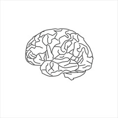  Outline of a Human Brain