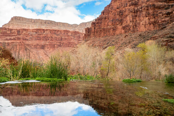 Reflections in Lower Navajo Falls Pool, Havasupai Indian Reservation, Grand Canyon, Arizona