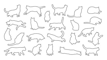 Fototapeta premium Collection of cat outlines. Different cat poses. Cat is lying, sitting, playing, walking, standing, stretching. Vector illustration