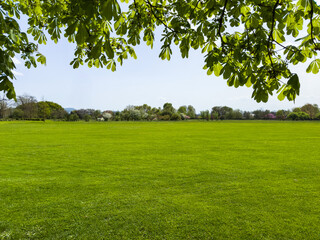 open green field with fresh manicured lawn under clear sky with with clean empty space for text or product presentation