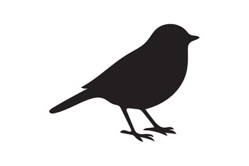 Obraz premium Birds black silhouettes on white background.01