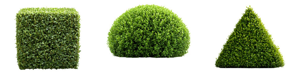 Obraz premium Various Green Hedge Shapes for Landscape Design and Gardening Isolate on Transparent Background, cutout, png