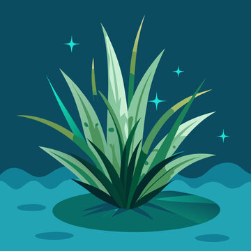 Download Water Stargrass Plant Vector Eps File For Design.