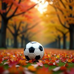 Soccer ball on fallen leaves in autumn park