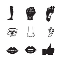 vector set of human organs internal body parts eyes, lips biceps thumbs up icon design illustration