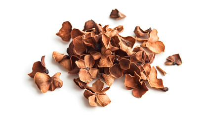 Obraz premium A delicate arrangement of dried cinnamon flowers on a plain white background, emphasizing their unique shapes and warm brown color.