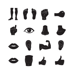 vector set of human internal organs eyes, lips biceps thumbs up icon design illustrations