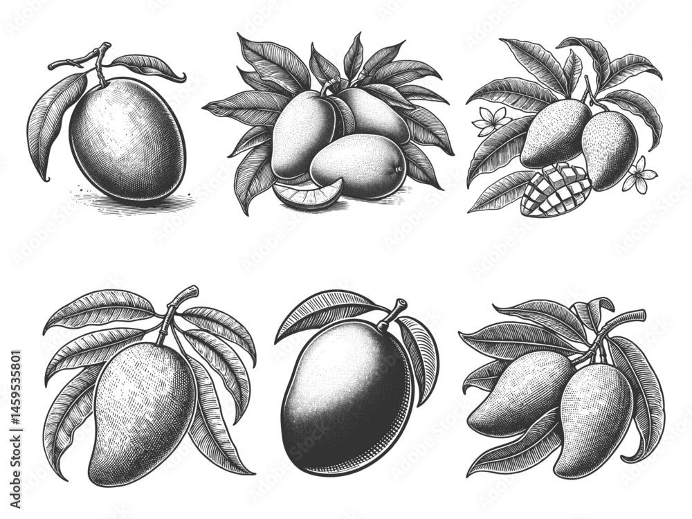 Poster mango fruits with leaves and flowers set collection bundle sketch engraving generative ai vector ill
