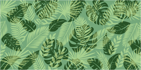 Tropical plant decoration background. Tropical leaves illustration. Summer and tropical pattern. vector illustration.